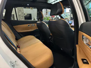Geely Starray EM-i MAX + PHEV