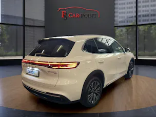 Geely Starray EM-i MAX + PHEV