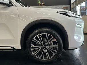 Geely Starray EM-i MAX + PHEV