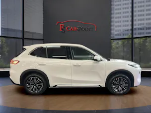 Geely Starray EM-i MAX + PHEV