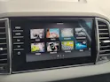 SKODA Karoq 2.0 TDI CR Style 4x4 DSG *Anhängerkupplung+8-fach bereift*