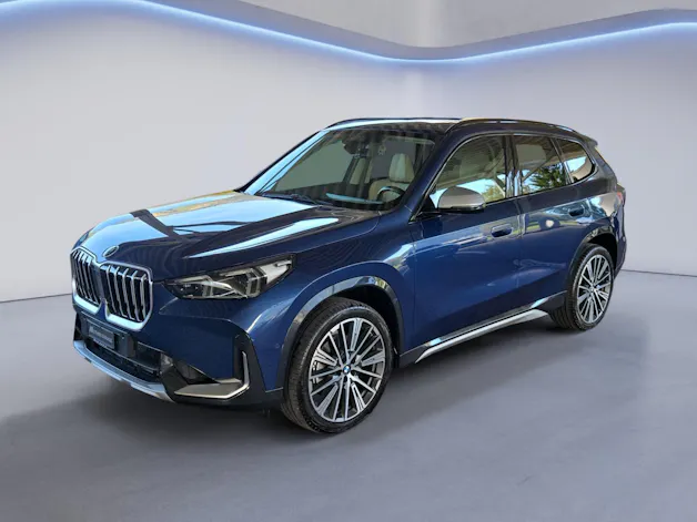 BMW X1 23i xDrive paddles