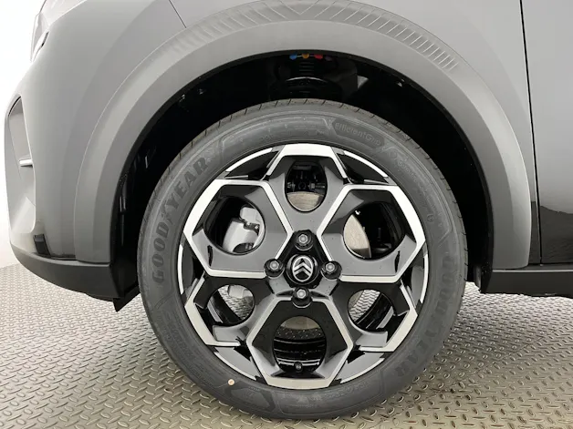CITROEN Citroën e-C3 long range Max