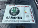 SKODA Octavia Combi 2.0 TSi RS 265PS DSG-Automat