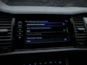 SKODA Kodiaq 2.0 Bi-TDI SCR RS 4x4 DSG *CH Fahrzeug*7 Plätzer*Panorama*Standheizung*