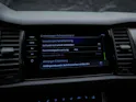 SKODA Kodiaq 2.0 Bi-TDI SCR RS 4x4 DSG *CH Fahrzeug*7 Plätzer*Panorama*Standheizung*