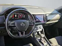 SKODA Kodiaq 2.0 Bi-TDI SCR RS 4x4 DSG