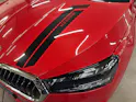 SKODA Fabia 1.0 TSI Selection