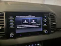 SKODA Karoq 2.0 TSI SportLine 4x4 DSG