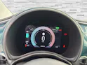 FIAT 500 Icon