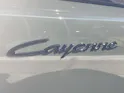 PORSCHE Cayenne Electric Basis