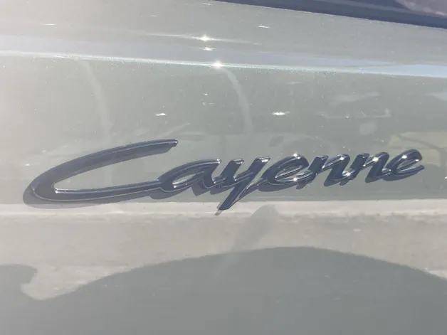 PORSCHE Cayenne Electric Basis