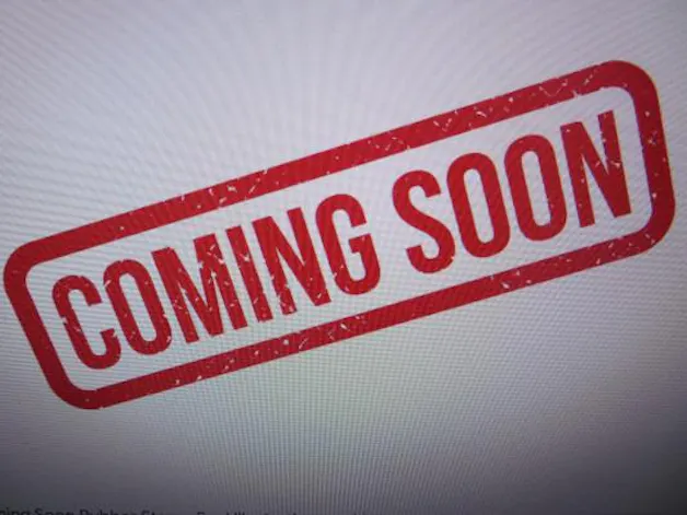 RENAULT Clio 1.6 E-Tech Techno