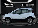 FIAT Panda 0.9 T TwinAir 4x4 S/S E6d