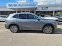 Geely STARRAY EM-i Max Plug in Hybrid 29.8kW Akku