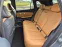 Geely STARRAY EM-i Max Plug in Hybrid 29.8kW Akku