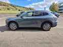 Geely STARRAY EM-i Max Plug in Hybrid 29.8kW Akku