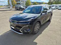 Geely STARRAY EM-i Max Plug in Hybrid 29.8kW Akku