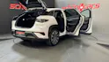 BYD Sealion 7 91,3 kWh Excellence AWD