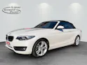 BMW 2er Reihe F23 Cabrio 220i