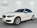 BMW 2er Reihe F23 Cabrio 220i