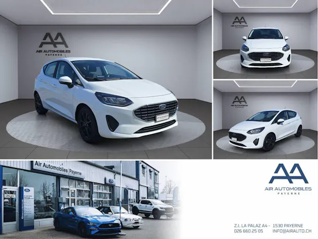 FORD Fiesta 1.0 EcoB Hybrid Titanium