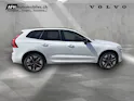 VOLVO XC60 2.0 T6 TE Plus Dark eAWD