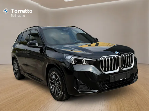 BMW X1 U11 30e xDrive paddles
