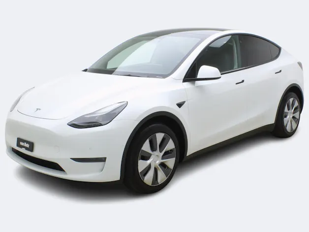 Tesla Model Y Long Range Dual AWD
