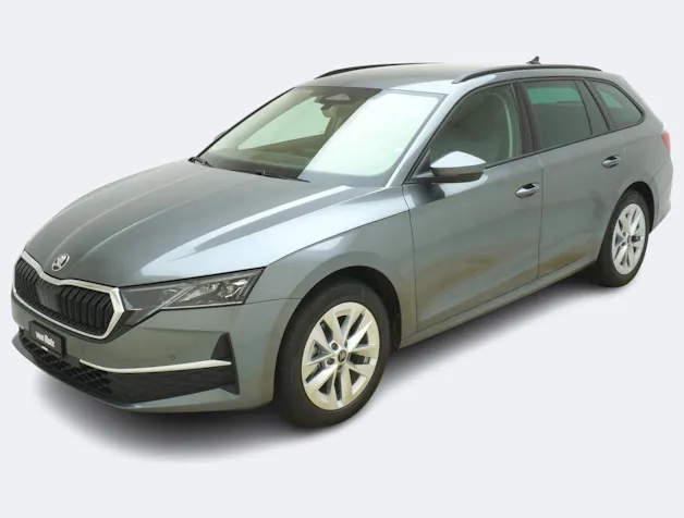 SKODA Octavia 2.0 TSI Selection-Loft 4x4 DSG