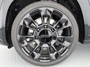 BMW XM G09 Label Plug-in Hybrid