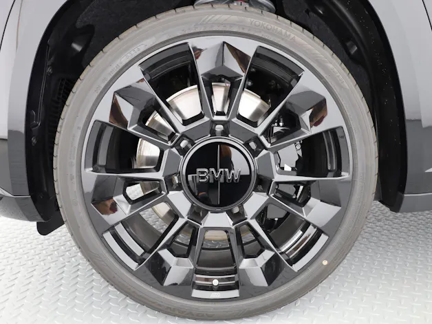 BMW XM G09 Label Plug-in Hybrid