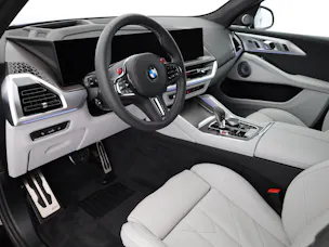 BMW XM G09 Label Plug-in Hybrid