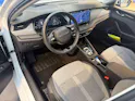 SKODA Octavia Combi 2.0 TDi Selection DSG-Automat