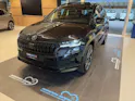 SKODA Karoq 2.0 TSi SportLine 4x4 DSG-Automat