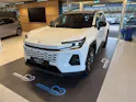 Toyota RAV-4 2.5 HSD Trend e-CVT AWD NEUES MODELL Automat