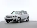 BMW X1 U11 20d xDrive paddles