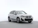 BMW X1 U11 20d xDrive paddles