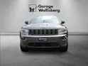 JEEP Grand Cherokee 3.0 CRD 250 Trailhawk