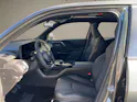 Toyota Urban Cruiser Premium AWD