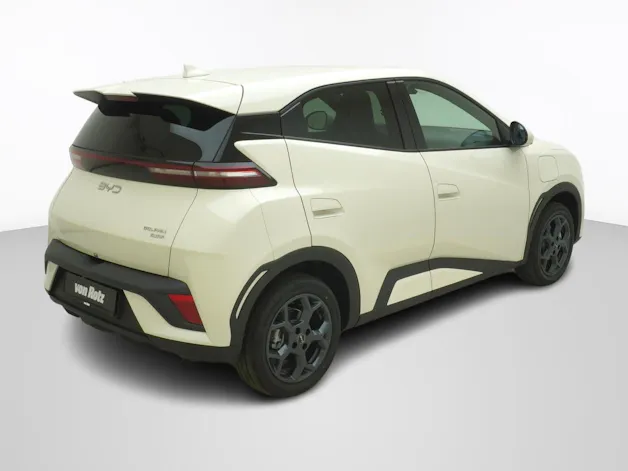 BYD Dolphin Surf Comfort