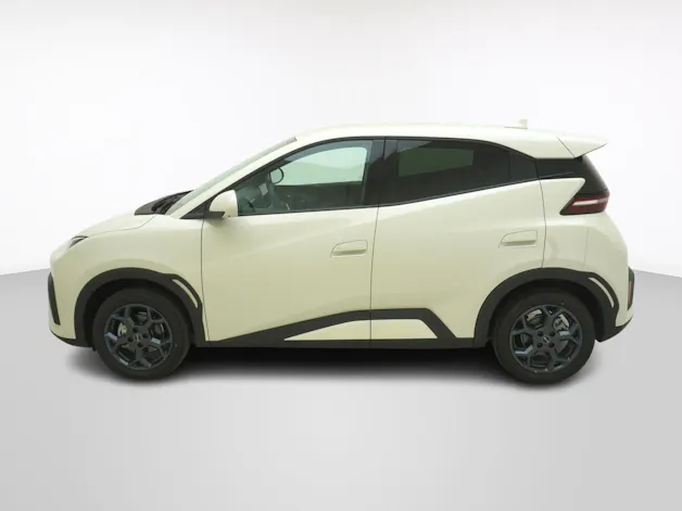 BYD Dolphin Surf Comfort