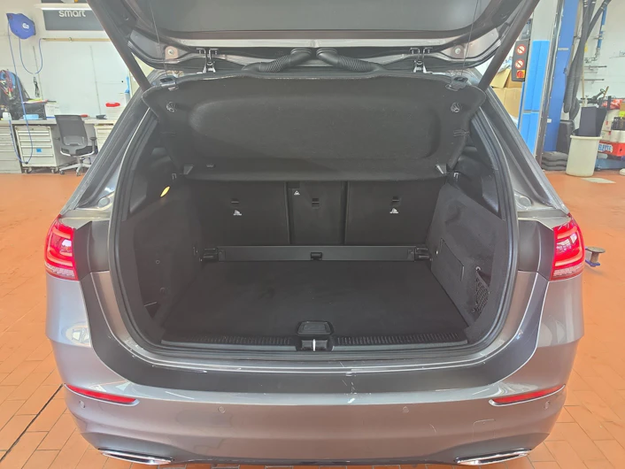 Fahrzeugbild MERCEDES-BENZ B 250
