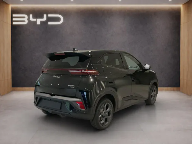 BYD Dolphin Surf Comfort