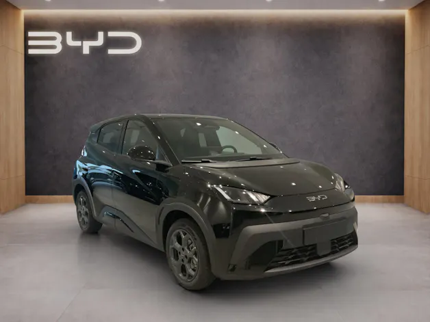 BYD Dolphin Surf Comfort