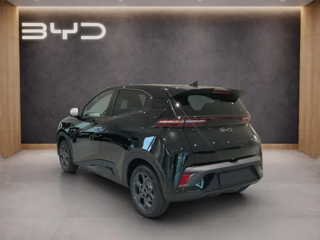 BYD Dolphin Surf Comfort