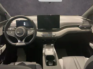 BYD Dolphin Surf Comfort