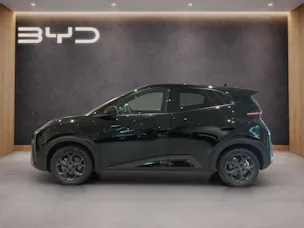 BYD Dolphin Surf Comfort