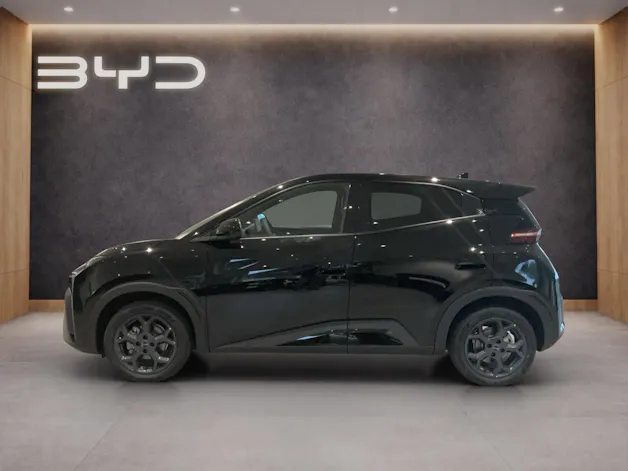 BYD Dolphin Surf Comfort