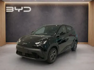 BYD Dolphin Surf Comfort